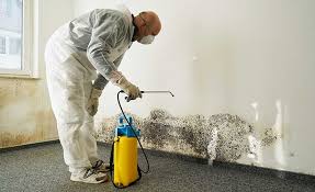 Best Industrial Mold Remediation  in Lillington, NC